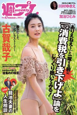 刘家媳妇演员表